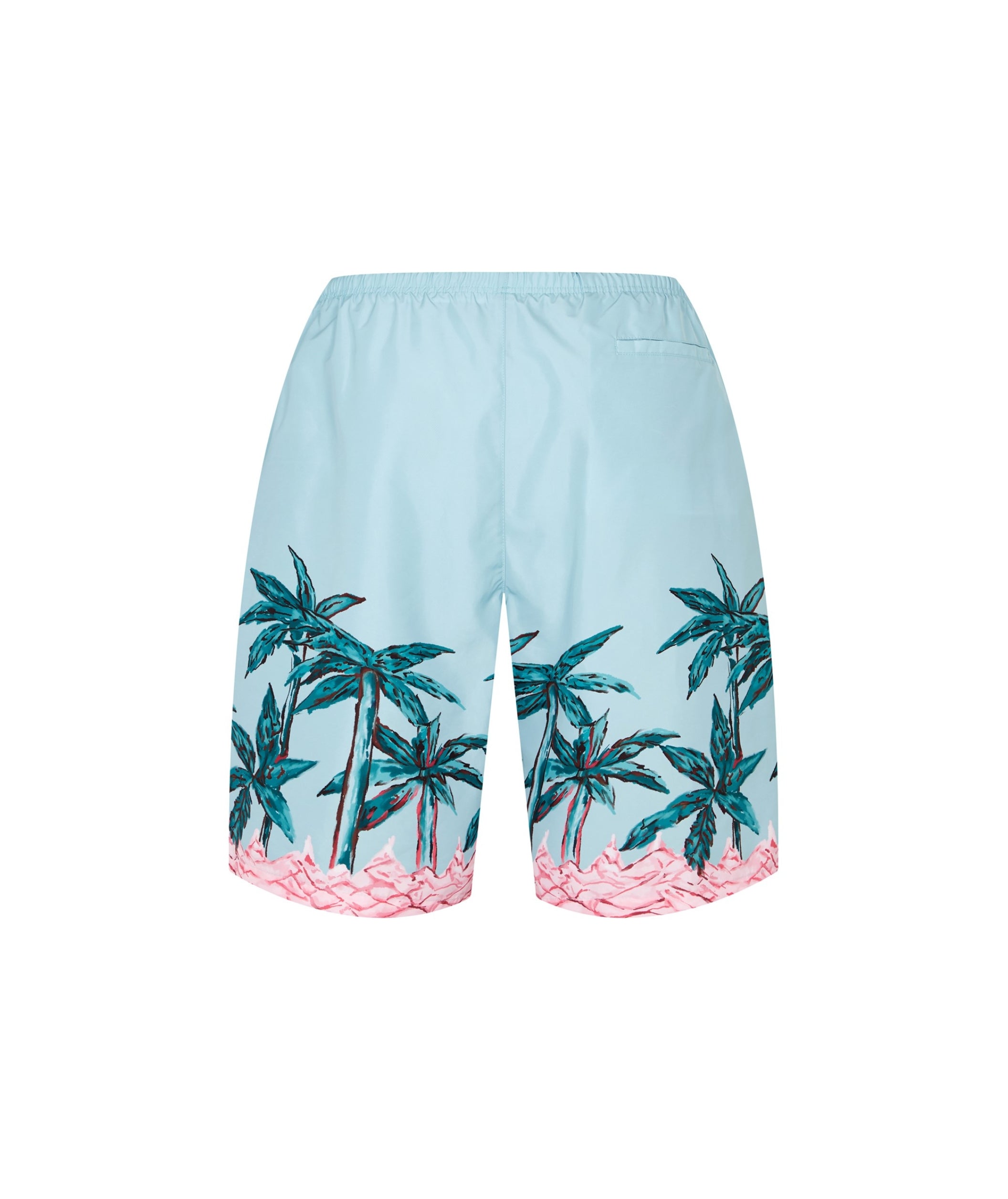 LUXURY HUB PALM ANGELS PALM SWIM SHORTS
