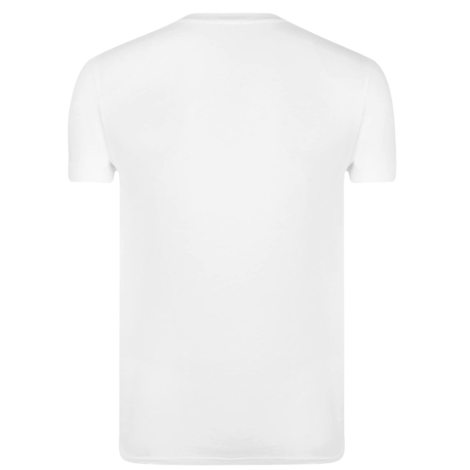 LUXURY HUB BELSTAFF PHOENIX TEE
