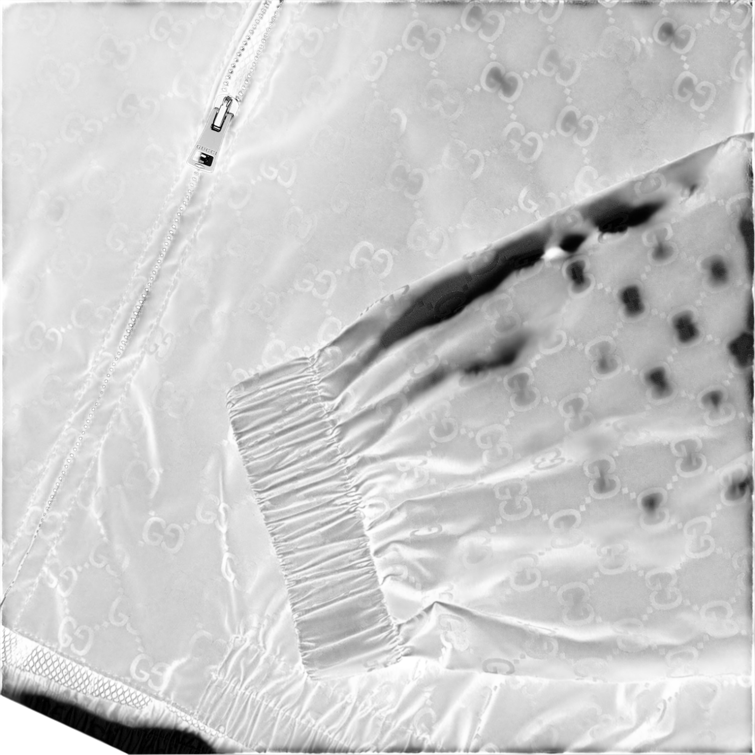 LUXURY HUB GUCCI NYLON GG JACKET