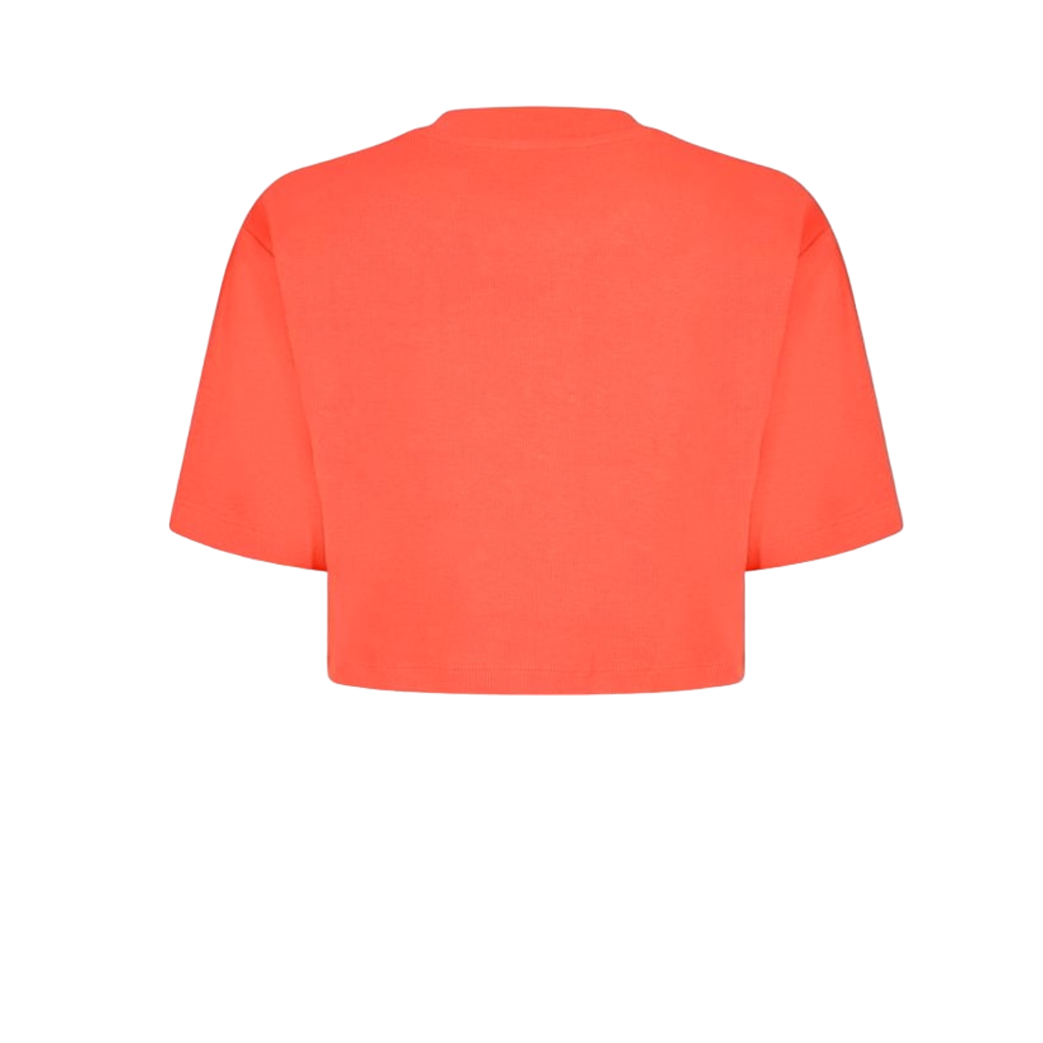 LUXURY HUB OFF WHITE CROPPED TOP