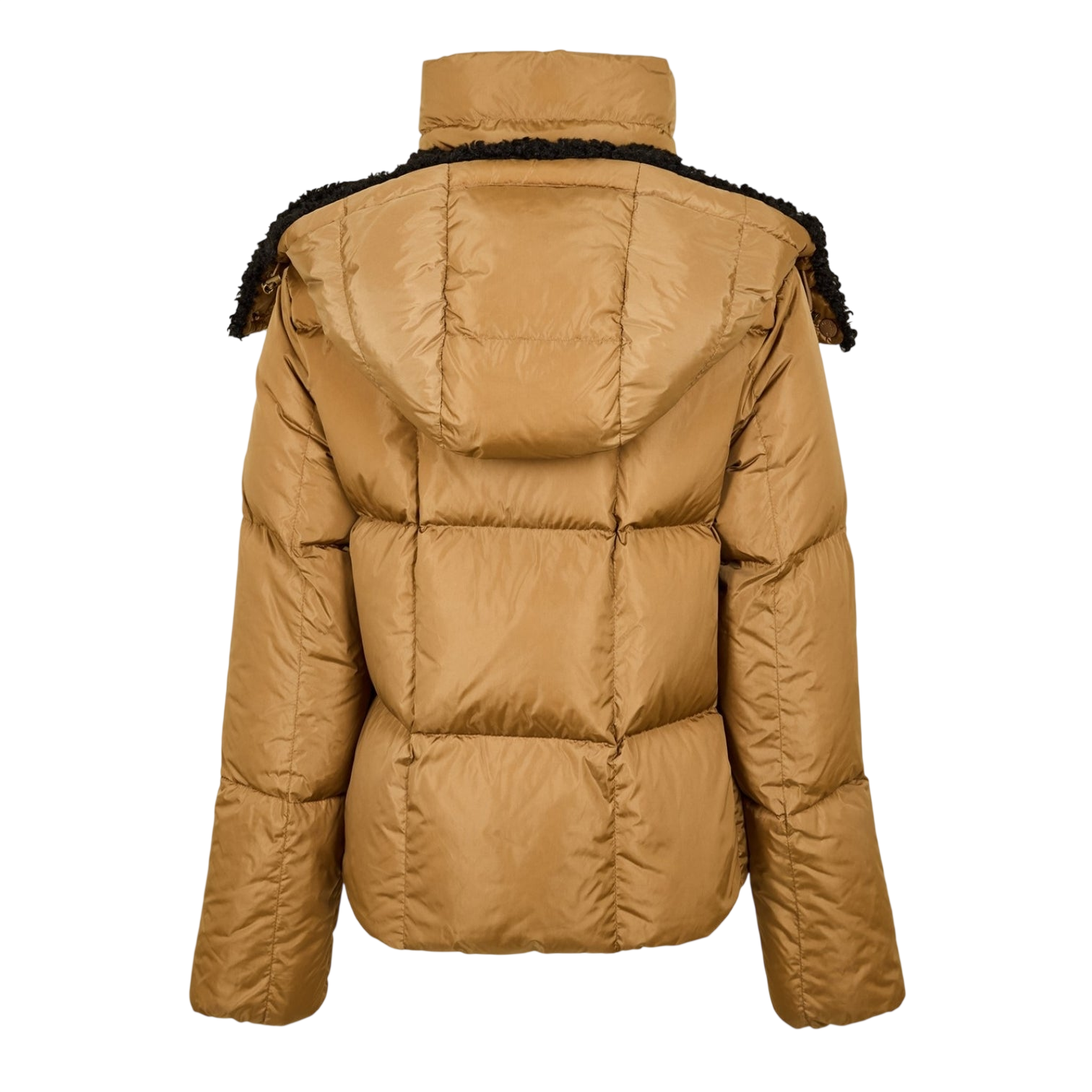 LUXURY HUB MONCLER WOMEN'S INSULATED WATER-RESISTANT FITTED SHORT PUFFER JACKET