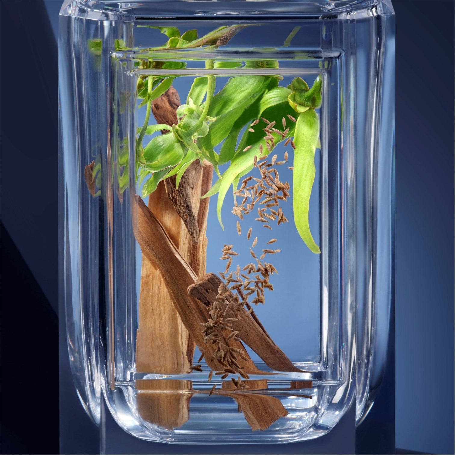 LUXURY HUB PRADA BEAUTY PRADA OLFACTORIES SOLEIL AUZENITH EAU DE PARFUM