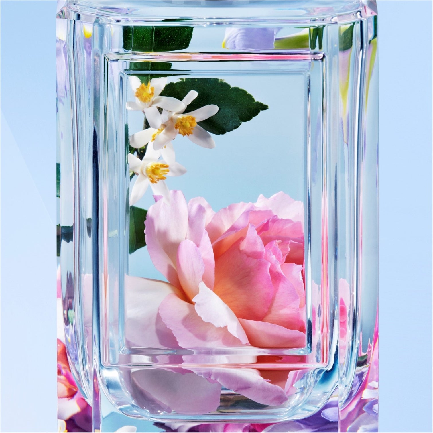 LUXURY HUB PRADA BEAUTY PRADA OLFACTORIES PINK FLAMINGO EAU DE PARFUM