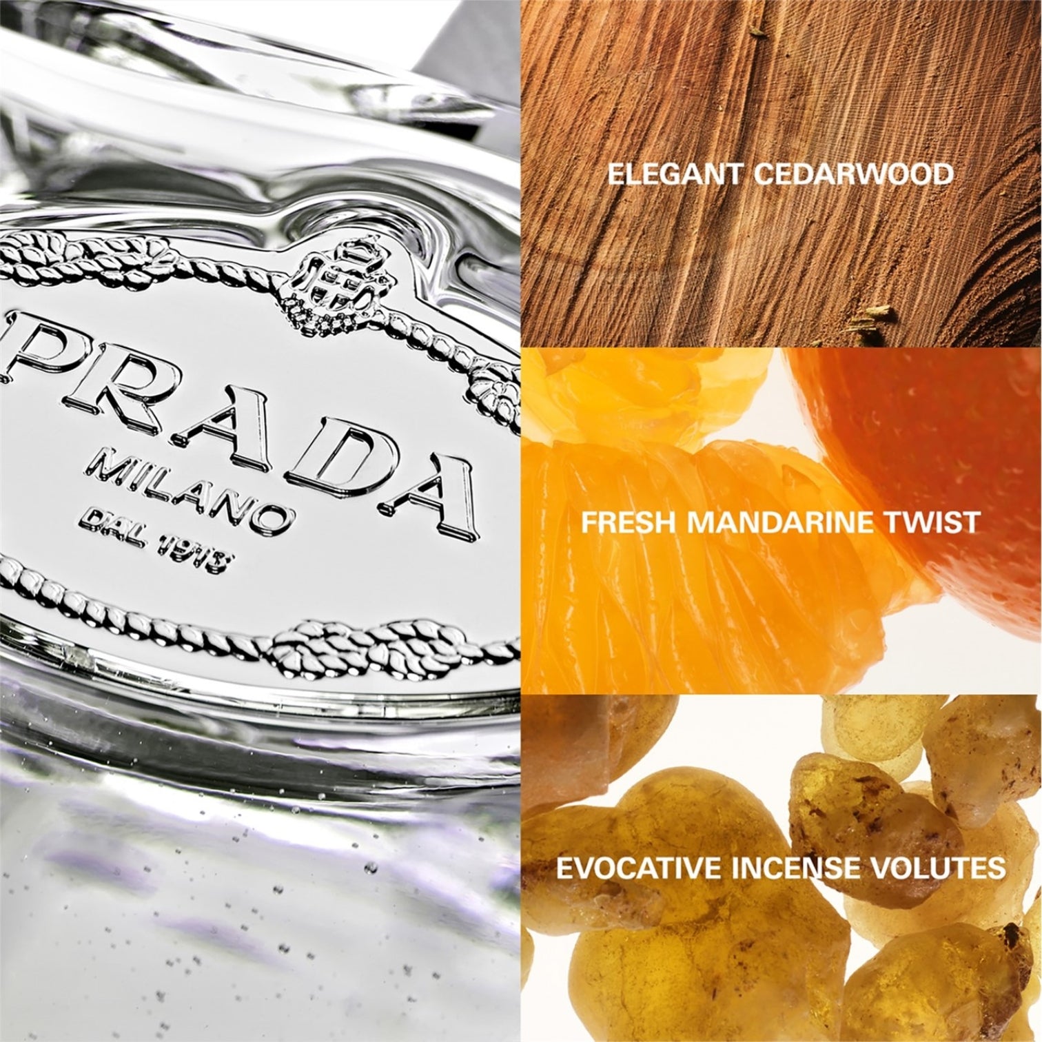 LUXURY HUB PRADA BEAUTY PRADA INFUSIONS DE CEDRE EAU DE PARFUM