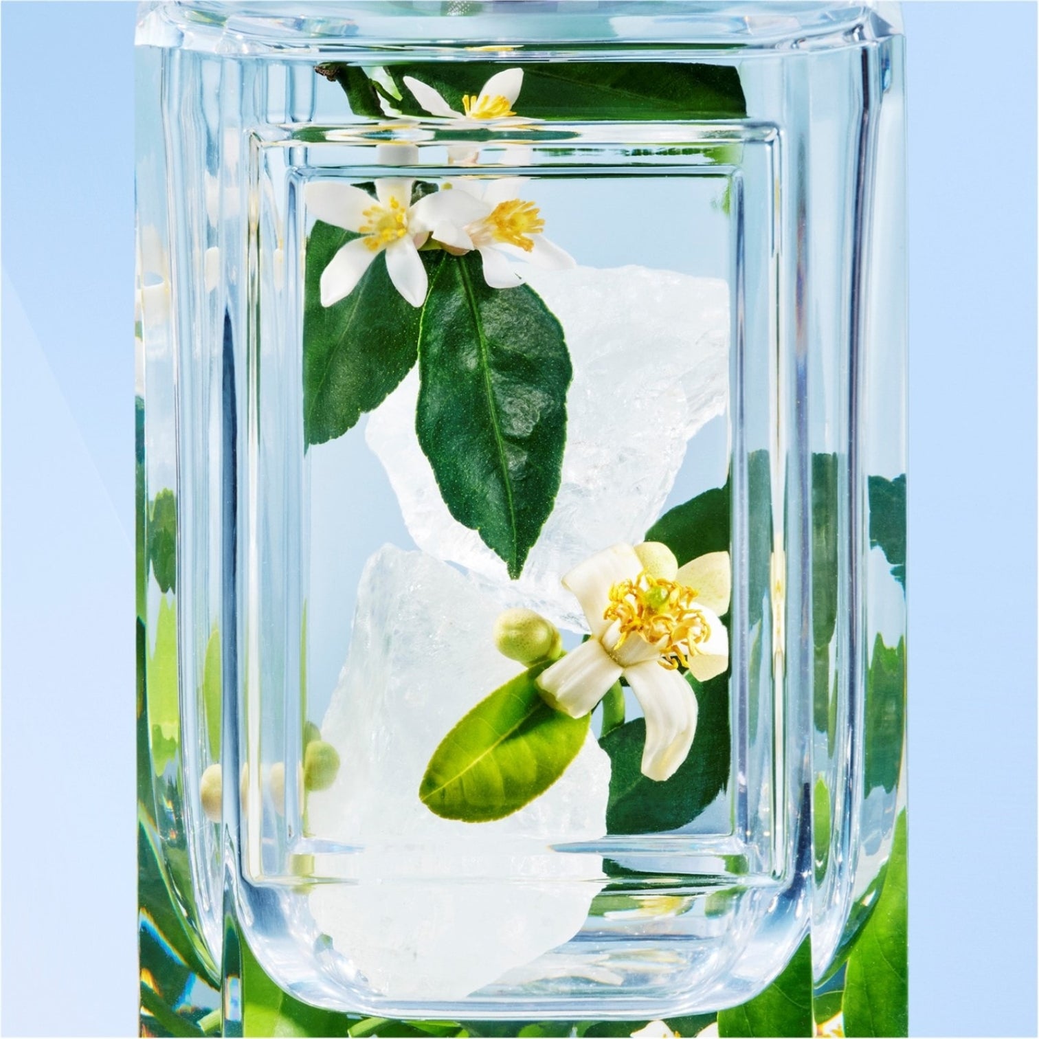 LUXURY HUB PRADA BEAUTY PRADA OLFACTORIES UNCHANT D'AMOUR EAU DE PARFUM