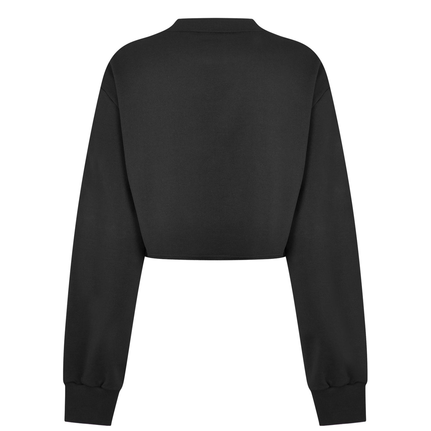 LUXURY HUB DOLCE AND GABBANA CROP LOGO SWEATSHIRT