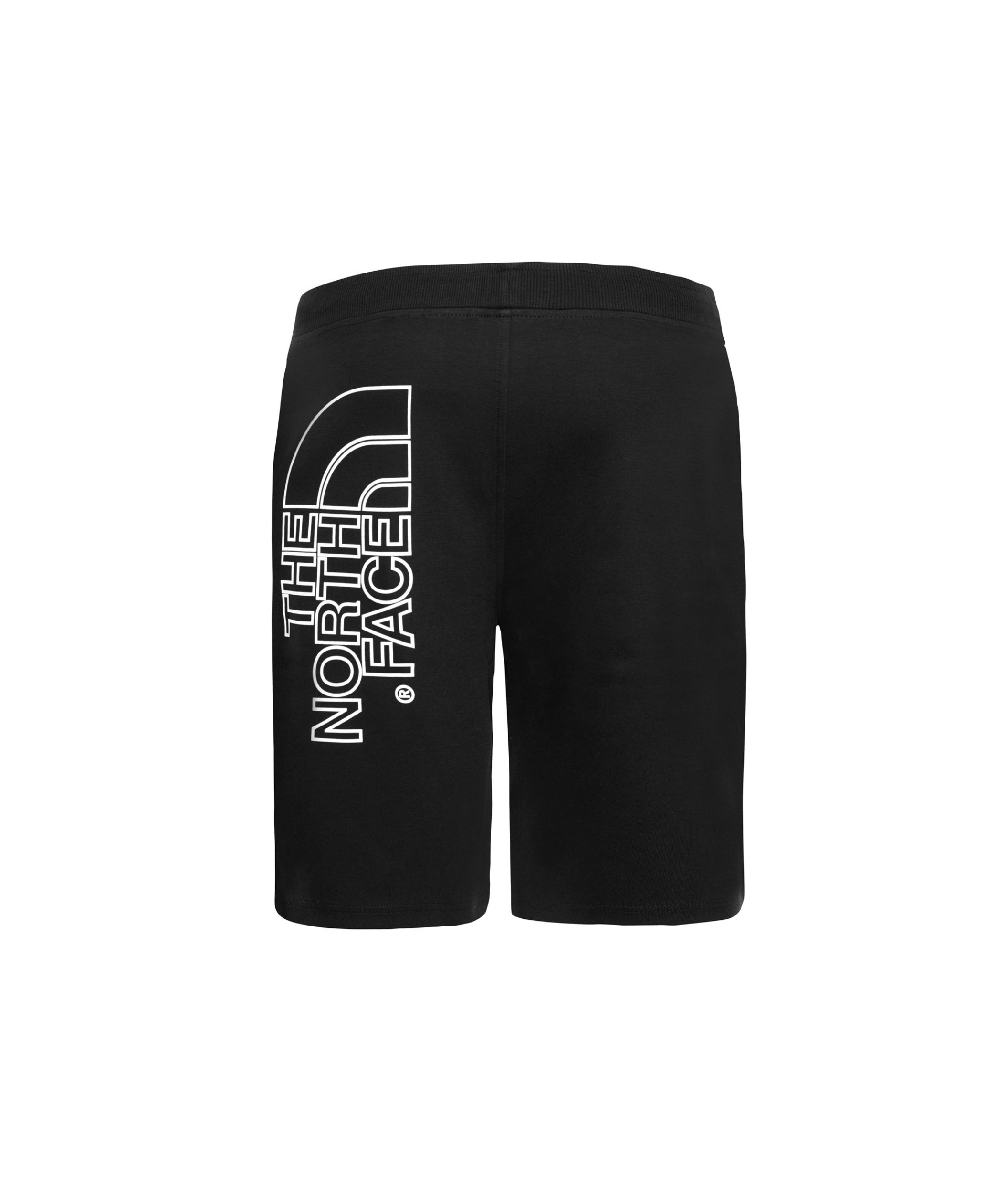 LUXURY HUB THE NORTH FACE GRAPHIC FLEECE SHORTS