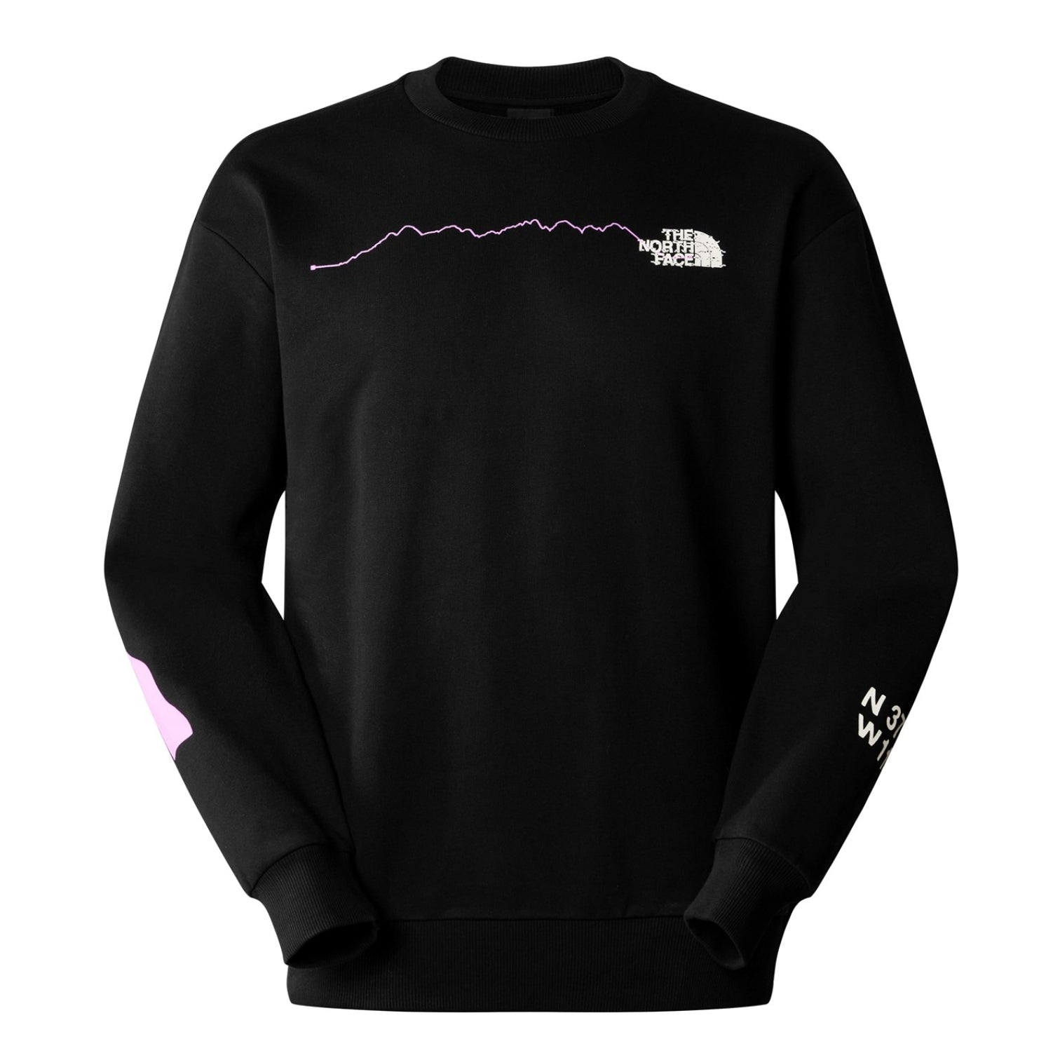 LUXURY HUB THE NORTH FACE GRAPHIC CREW NECK SWEATER MENS