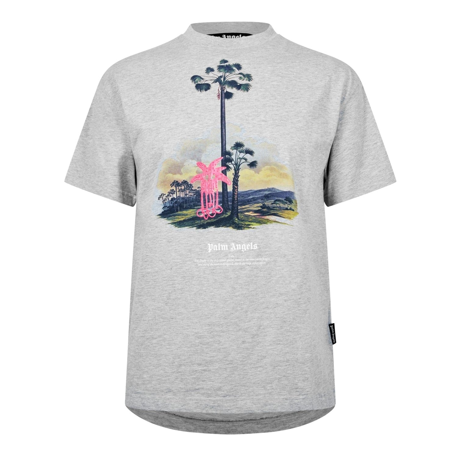 LUXURY HUB PALM ANGELS PALM AMAZONIA TEE