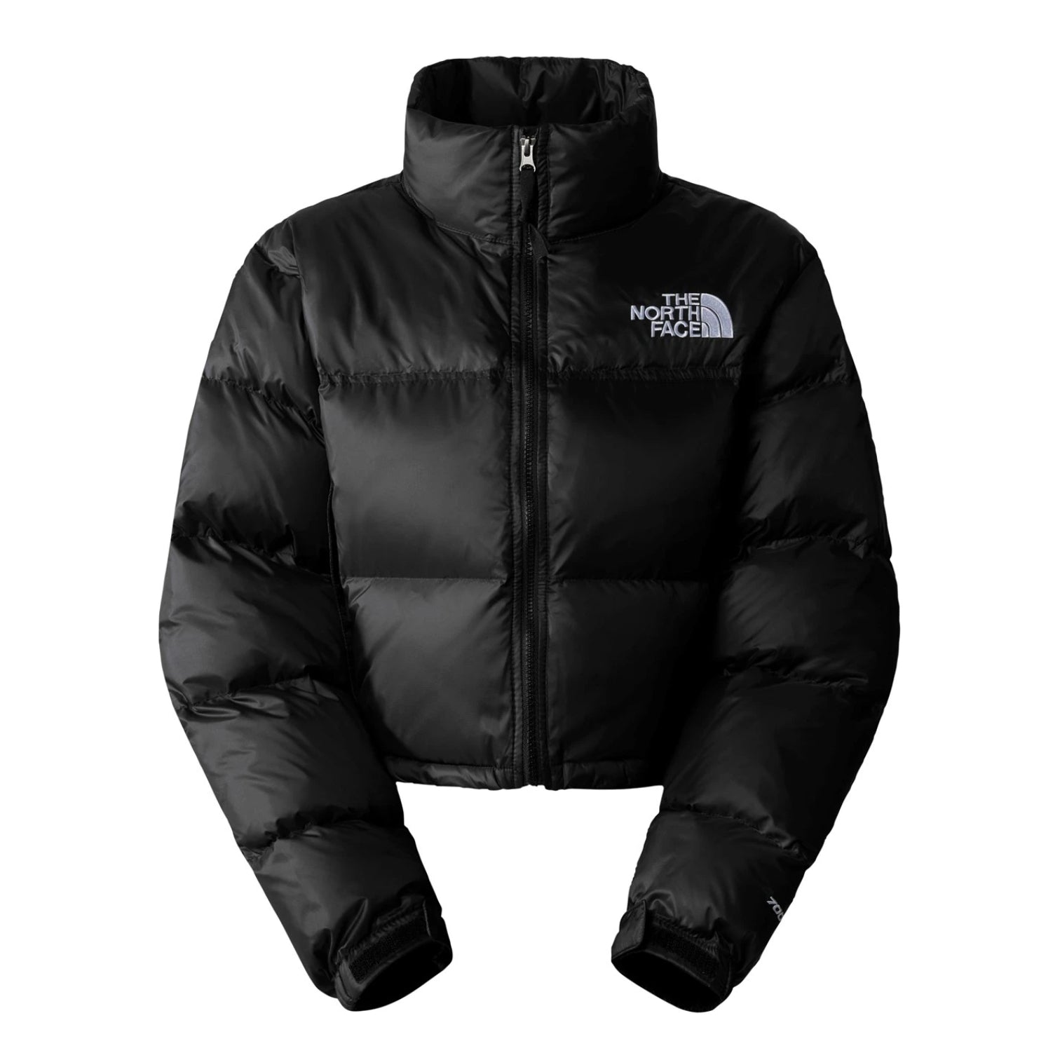 LUXURY HUB THE NORTH FACE NUPTSE CROP