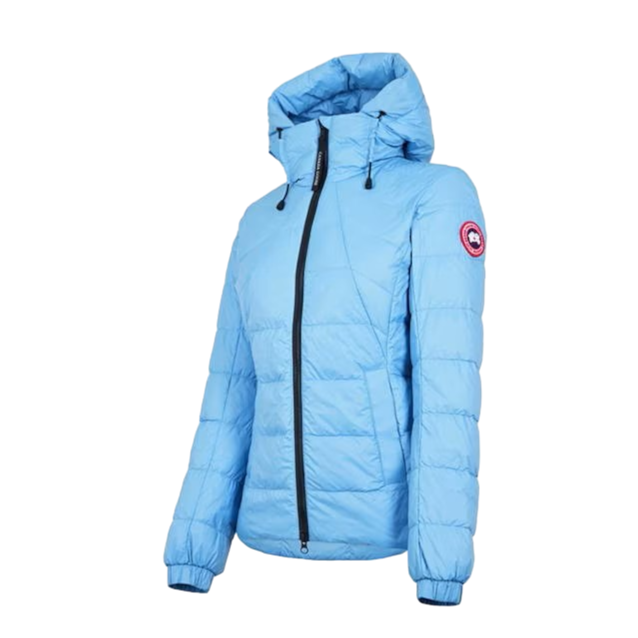 LUXURY HUB CANADA GOOSE ABBOTT HOODY