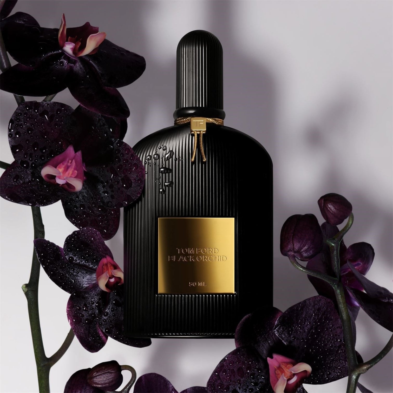 LUXURY HUB TOM FORD BLACK ORCHID EAU DE PARFUM