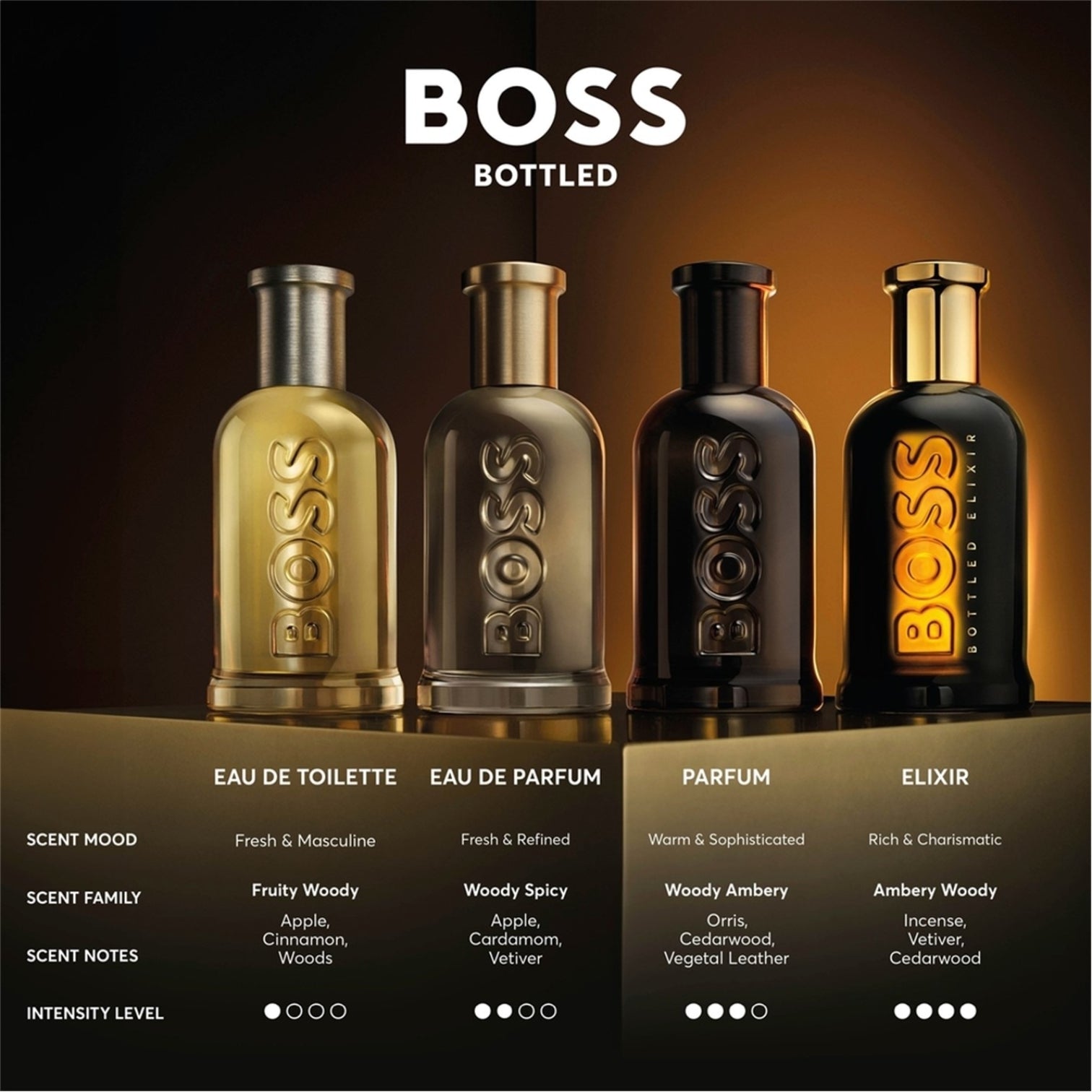 LUXURY HUB BOSS MENS HUGO BOSS BOTTLED